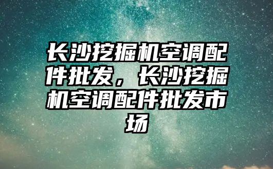 長沙挖掘機空調(diào)配件批發(fā)，長沙挖掘機空調(diào)配件批發(fā)市場