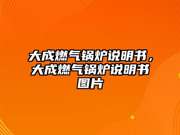 大成燃?xì)忮仩t說明書，大成燃?xì)忮仩t說明書圖片