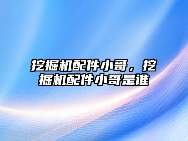 挖掘機配件小哥，挖掘機配件小哥是誰