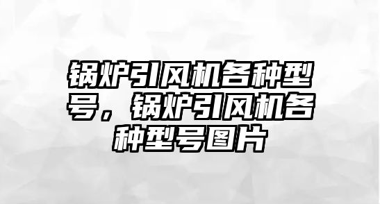 鍋爐引風機各種型號，鍋爐引風機各種型號圖片