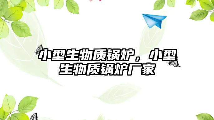 小型生物質(zhì)鍋爐，小型生物質(zhì)鍋爐廠家