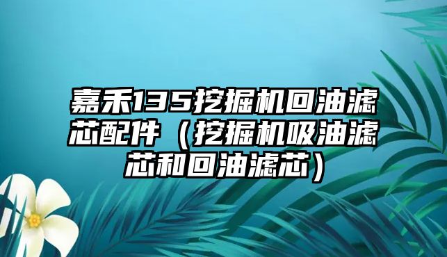 嘉禾135挖掘機(jī)回油濾芯配件（挖掘機(jī)吸油濾芯和回油濾芯）