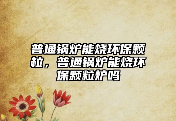 普通鍋爐能燒環(huán)保顆粒，普通鍋爐能燒環(huán)保顆粒爐嗎