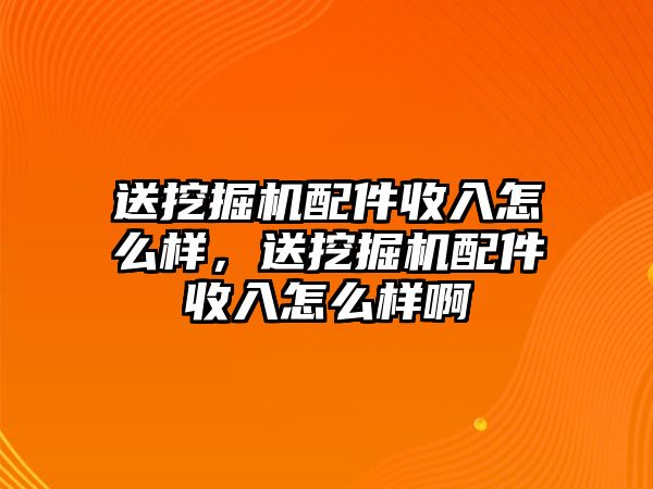 送挖掘機配件收入怎么樣，送挖掘機配件收入怎么樣啊