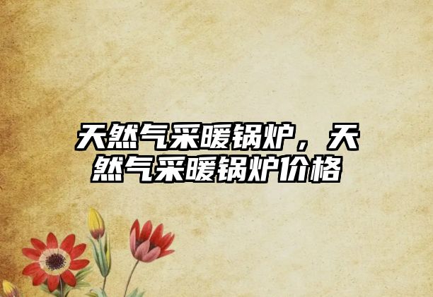 天然氣采暖鍋爐，天然氣采暖鍋爐價(jià)格