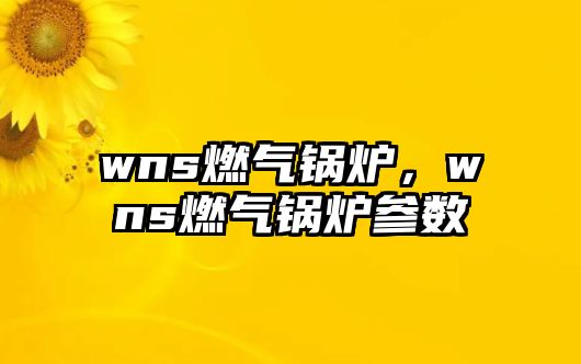 wns燃?xì)忮仩t，wns燃?xì)忮仩t參數(shù)