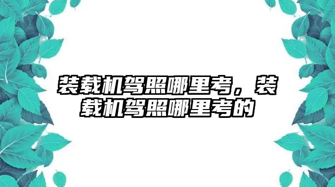 裝載機駕照哪里考，裝載機駕照哪里考的