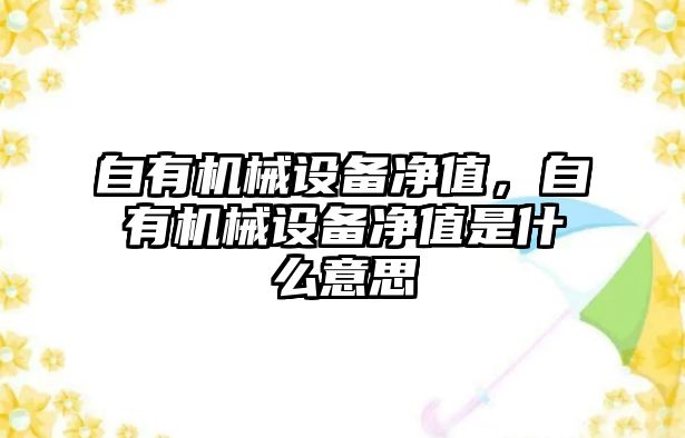 自有機(jī)械設(shè)備凈值，自有機(jī)械設(shè)備凈值是什么意思