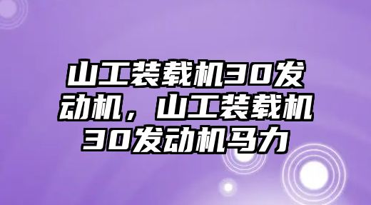 山工裝載機(jī)30發(fā)動(dòng)機(jī)，山工裝載機(jī)30發(fā)動(dòng)機(jī)馬力