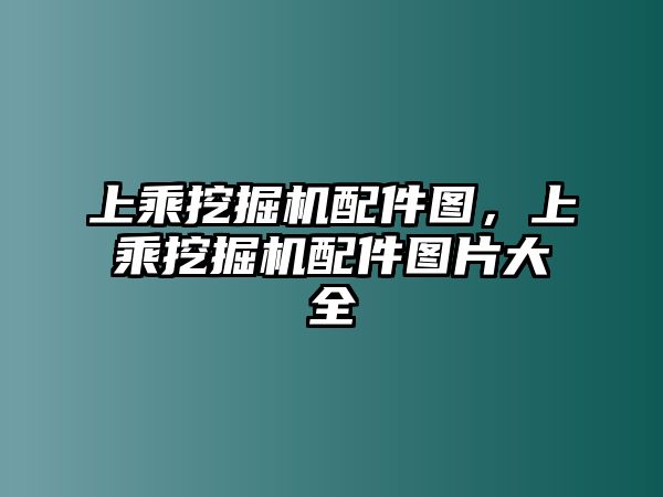 上乘挖掘機配件圖，上乘挖掘機配件圖片大全