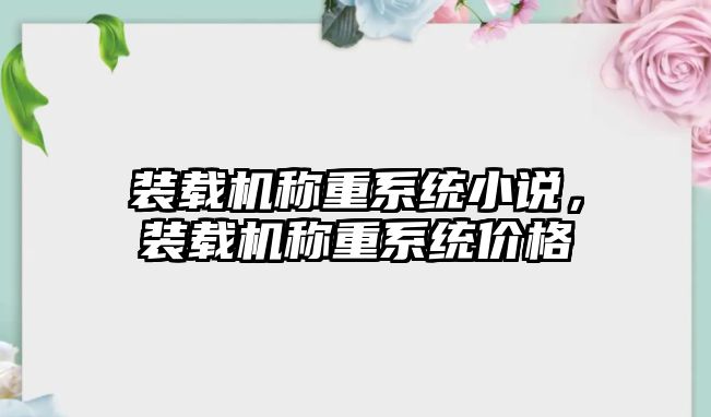 裝載機稱重系統(tǒng)小說，裝載機稱重系統(tǒng)價格