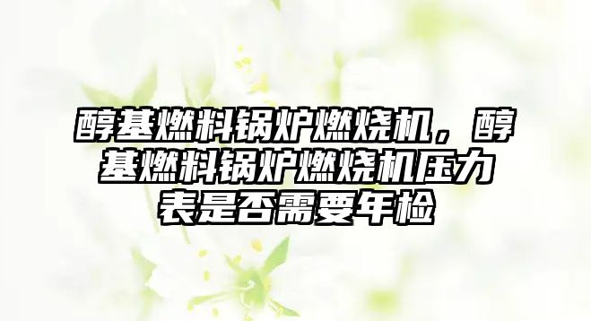 醇基燃料鍋爐燃燒機，醇基燃料鍋爐燃燒機壓力表是否需要年檢