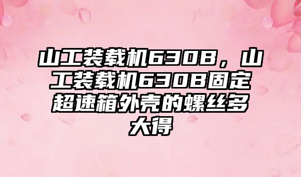 山工裝載機(jī)630B，山工裝載機(jī)630B固定超速箱外殼的螺絲多大得