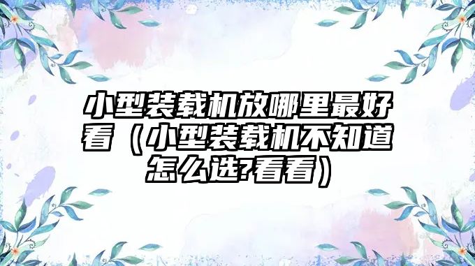 小型裝載機放哪里最好看（小型裝載機不知道怎么選?看看）