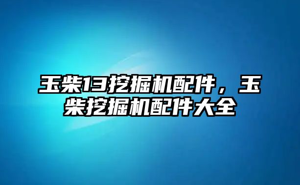 玉柴13挖掘機(jī)配件，玉柴挖掘機(jī)配件大全