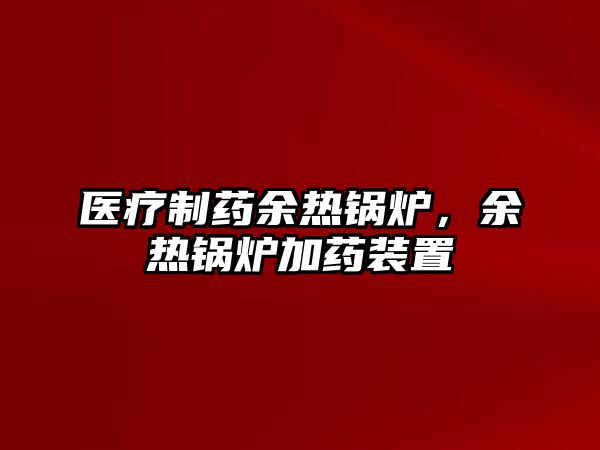 醫(yī)療制藥余熱鍋爐，余熱鍋爐加藥裝置