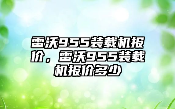 雷沃955裝載機報價，雷沃955裝載機報價多少