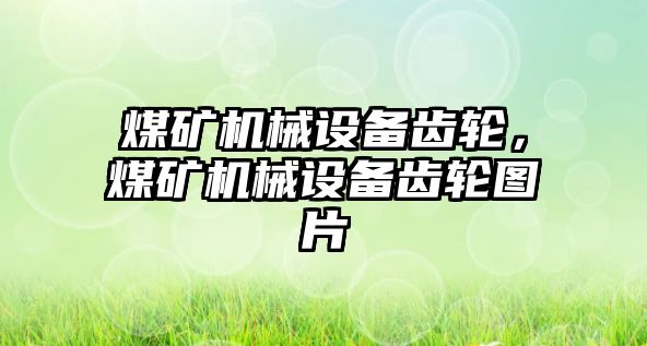 煤礦機械設(shè)備齒輪，煤礦機械設(shè)備齒輪圖片