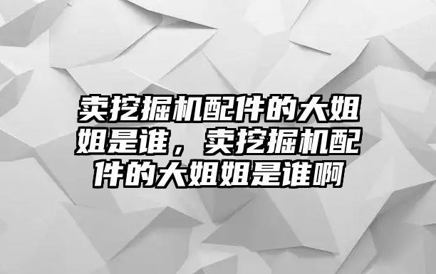 賣挖掘機(jī)配件的大姐姐是誰，賣挖掘機(jī)配件的大姐姐是誰啊