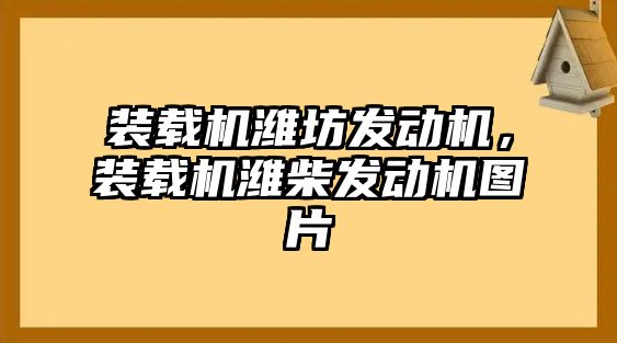 裝載機濰坊發(fā)動機，裝載機濰柴發(fā)動機圖片