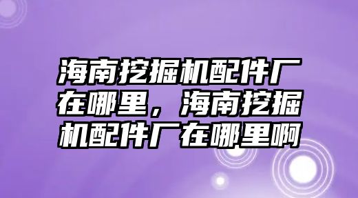 海南挖掘機(jī)配件廠在哪里，海南挖掘機(jī)配件廠在哪里啊