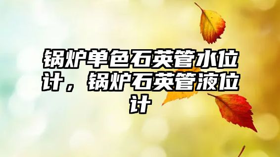 鍋爐單色石英管水位計，鍋爐石英管液位計