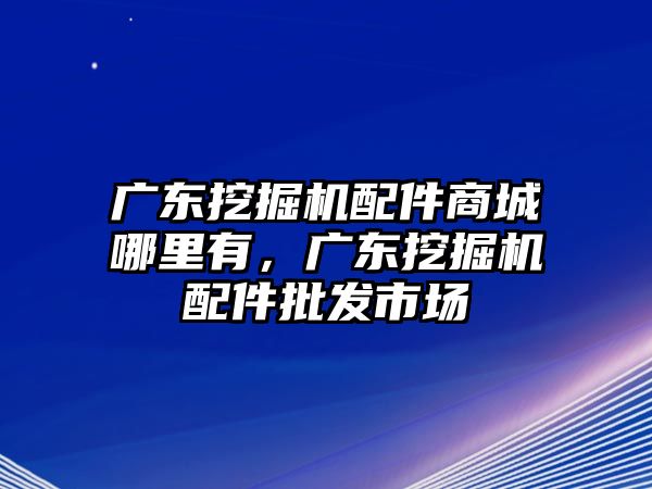 廣東挖掘機(jī)配件商城哪里有，廣東挖掘機(jī)配件批發(fā)市場(chǎng)