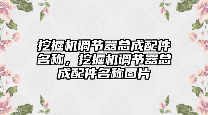 挖掘機(jī)調(diào)節(jié)器總成配件名稱，挖掘機(jī)調(diào)節(jié)器總成配件名稱圖片