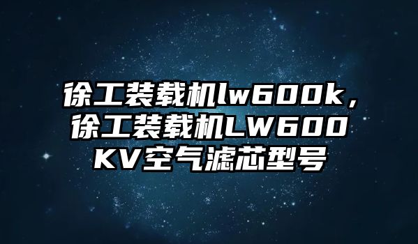 徐工裝載機lw600k，徐工裝載機LW600KV空氣濾芯型號