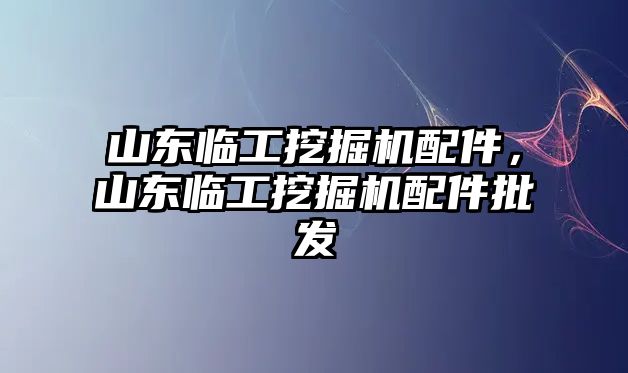 山東臨工挖掘機配件，山東臨工挖掘機配件批發(fā)