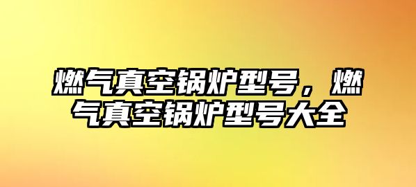 燃?xì)庹婵斟仩t型號，燃?xì)庹婵斟仩t型號大全