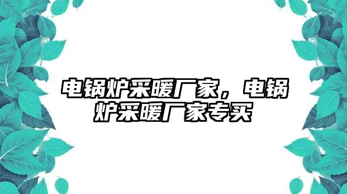 電鍋爐采暖廠家，電鍋爐采暖廠家專(zhuān)買(mǎi)