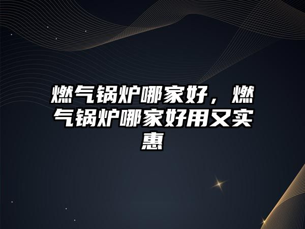 燃?xì)忮仩t哪家好，燃?xì)忮仩t哪家好用又實(shí)惠