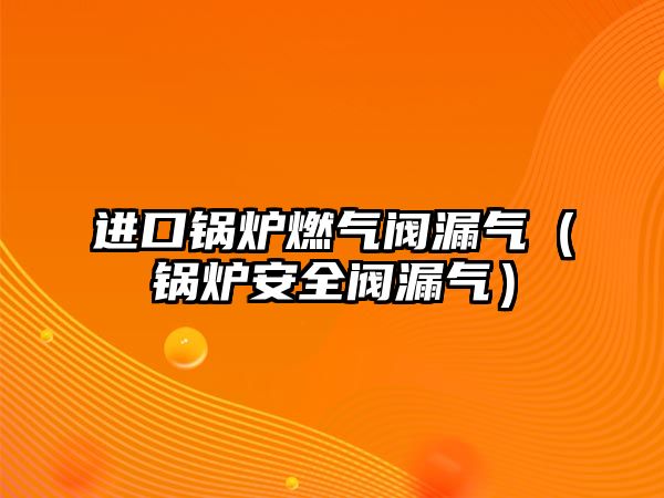 進(jìn)口鍋爐燃?xì)忾y漏氣（鍋爐安全閥漏氣）