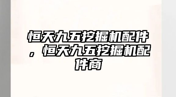 恒天九五挖掘機(jī)配件，恒天九五挖掘機(jī)配件商