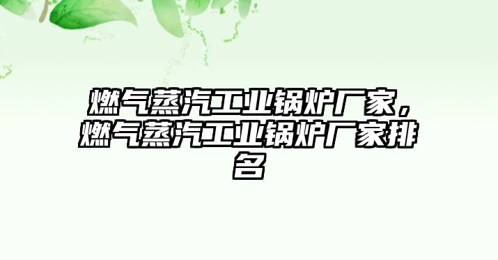 燃氣蒸汽工業(yè)鍋爐廠家，燃氣蒸汽工業(yè)鍋爐廠家排名