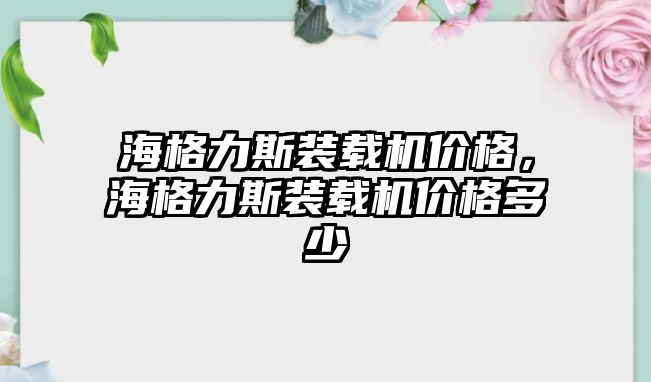 海格力斯裝載機(jī)價(jià)格，海格力斯裝載機(jī)價(jià)格多少