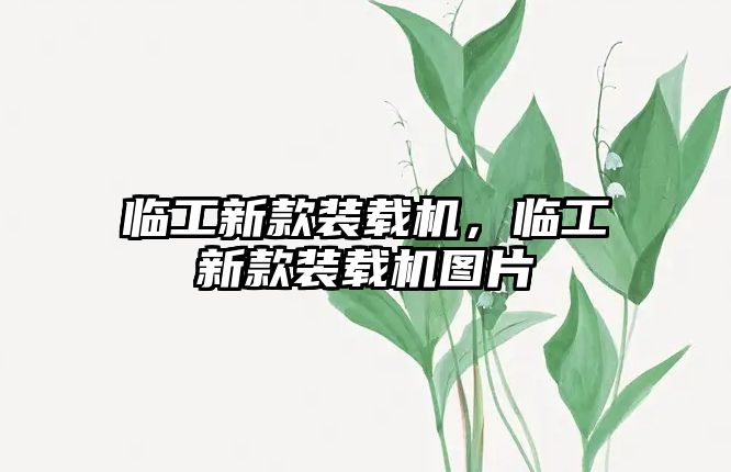 臨工新款裝載機(jī)，臨工新款裝載機(jī)圖片