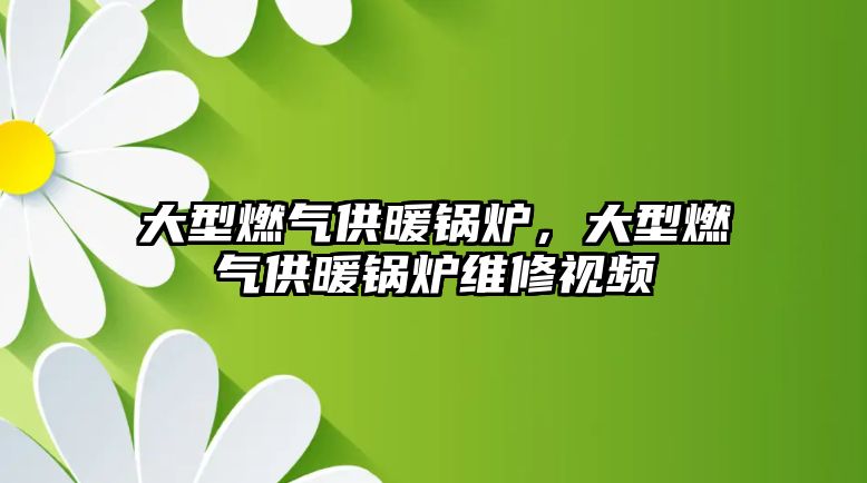 大型燃氣供暖鍋爐，大型燃氣供暖鍋爐維修視頻