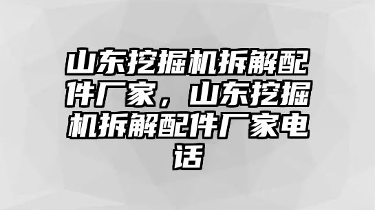 山東挖掘機(jī)拆解配件廠家，山東挖掘機(jī)拆解配件廠家電話