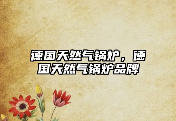 德國(guó)天然氣鍋爐，德國(guó)天然氣鍋爐品牌