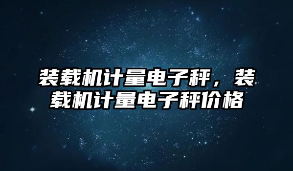 裝載機(jī)計量電子秤，裝載機(jī)計量電子秤價格