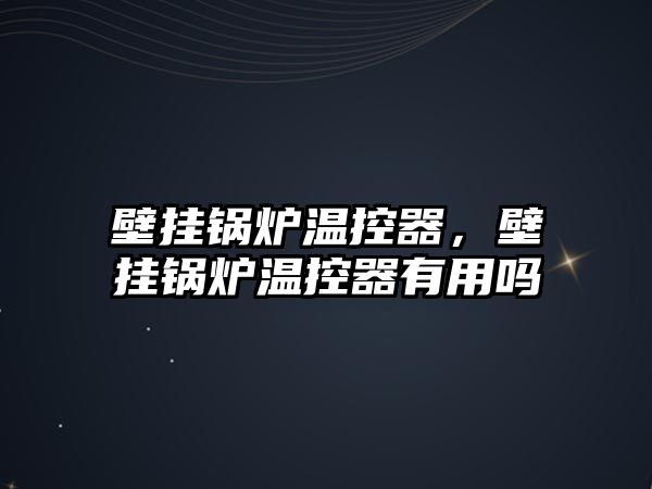 壁掛鍋爐溫控器，壁掛鍋爐溫控器有用嗎