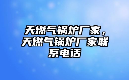 天燃氣鍋爐廠家，天燃氣鍋爐廠家聯(lián)系電話