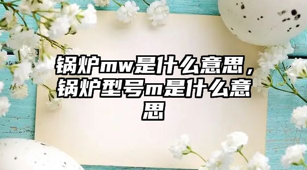 鍋爐mw是什么意思，鍋爐型號(hào)m是什么意思