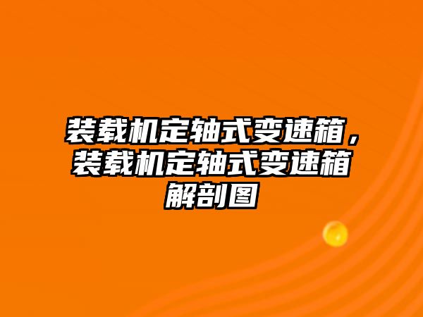 裝載機定軸式變速箱，裝載機定軸式變速箱解剖圖