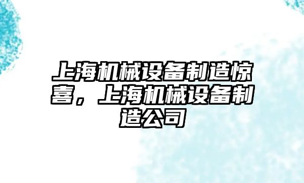 上海機械設(shè)備制造驚喜，上海機械設(shè)備制造公司