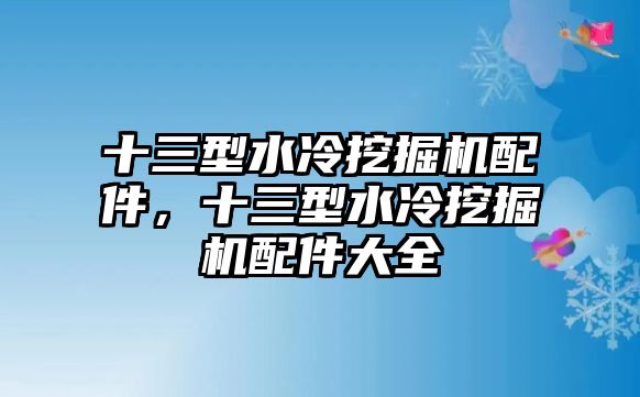 十三型水冷挖掘機配件，十三型水冷挖掘機配件大全