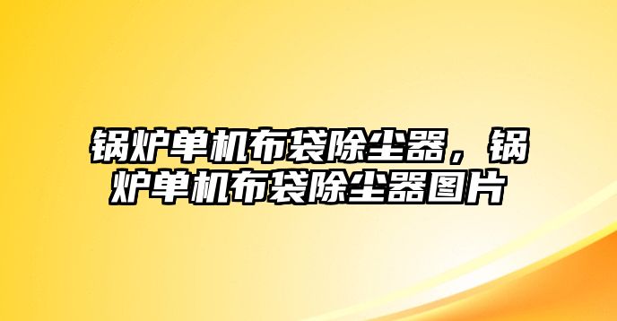 鍋爐單機(jī)布袋除塵器，鍋爐單機(jī)布袋除塵器圖片