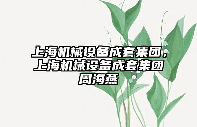 上海機械設備成套集團，上海機械設備成套集團周海燕